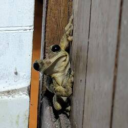 Besuch im Badezimmer 😄