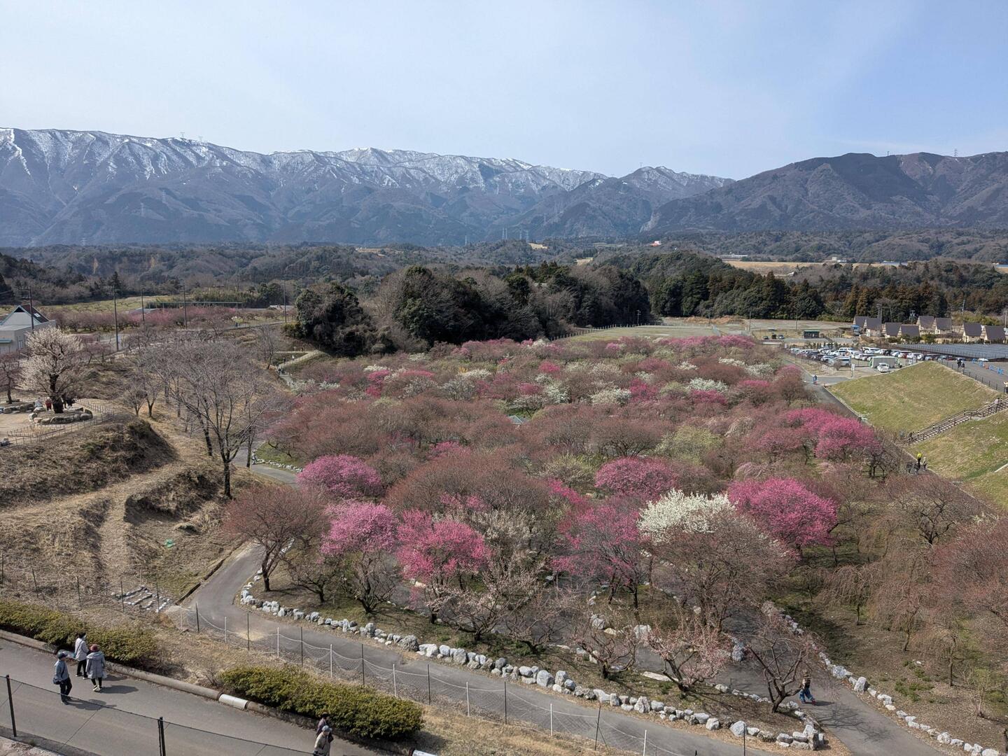 Inabe City Plum Grove Park