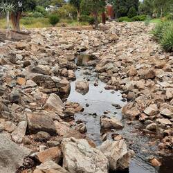 Quatre mois de sécheresse à Adélaïde