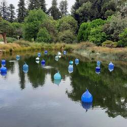 Le jardin botanique exposant des œuvres de l'artiste verrier Dale Chihuly