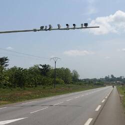 Hier gibt es sogar Blitzer - sieht man nicht oft in Afrika