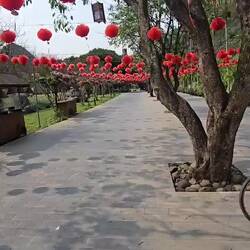 That's my bike creaking...not me!