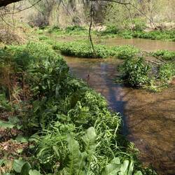 The water is very clean