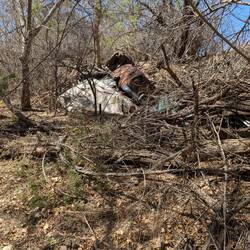 Car graveyard on the edge