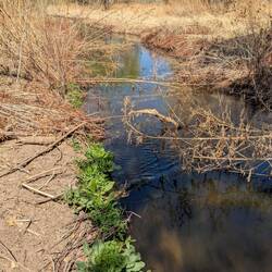 River as we passed over the 4 board bridge