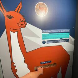 Chile Nationalmuseum