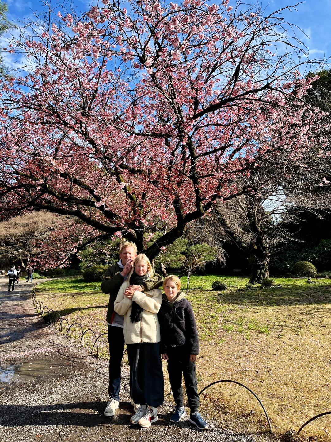 Sakura-sæsonen er i gang - let the madness begin 😉