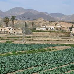 Gemüsegarten Spaniens