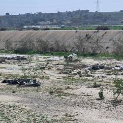 Plastik ,Spanien muss noch viel lernen