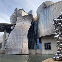 Tall tree and the eye.