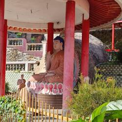Buddha with some of his disciples.