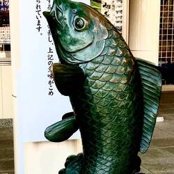 Carp near the shrine