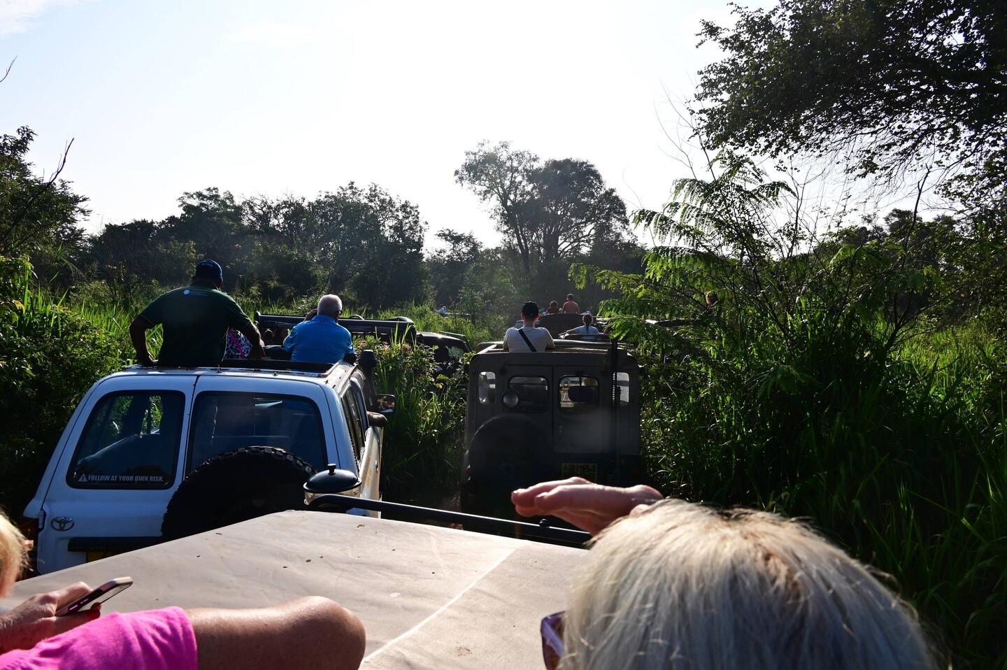 Traffic jam at elephant central