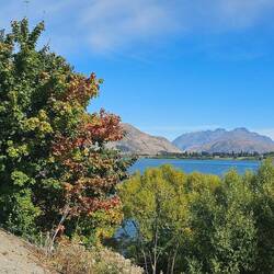 Finally found the lake! (Lake Hayes)