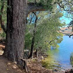 It's hard to see here, but there's a swing-rope attached to this tree accessed by a little platform.