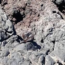 Ach was tut die Sonne gut