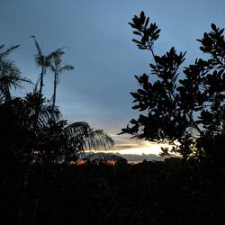 und Abschied vom Amazonas