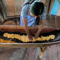 Geriebene Yuca wird zum Ausdrücken verteilt