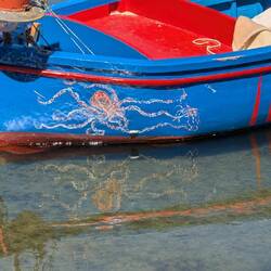 Octopus reflection