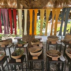 Traditional dyes