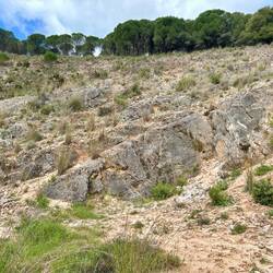 Peridotite areas