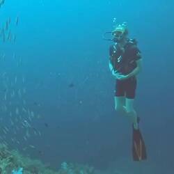 Hard to show how rich the sea life is in photos. This video does a decent job!