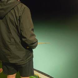 Squid fishing. Nope didn't catch any.