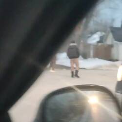 Kleine Rettungsaktion 🦢