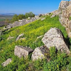 Akropolis Proerna