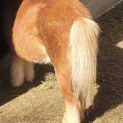 Self reminder, don't be a...