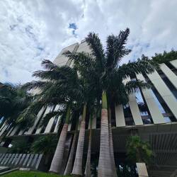 My hotel!