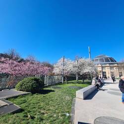 Les Halles gardens