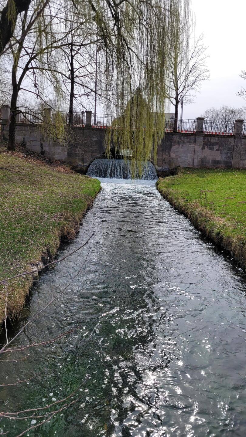 Waterway in English Gardens