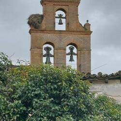 Glockenturm mit Storchennest 🫠