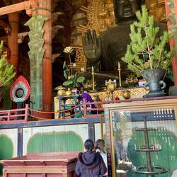 Daibutsu, Buddha with priest offering prayers & ritual; grateful we were allowed to photograph it.