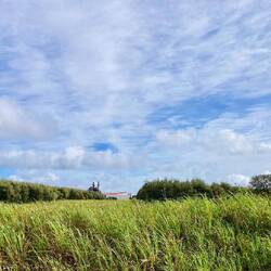 Wiese, links und rechts Olivenwälder, in der Mitte die Ölmühle