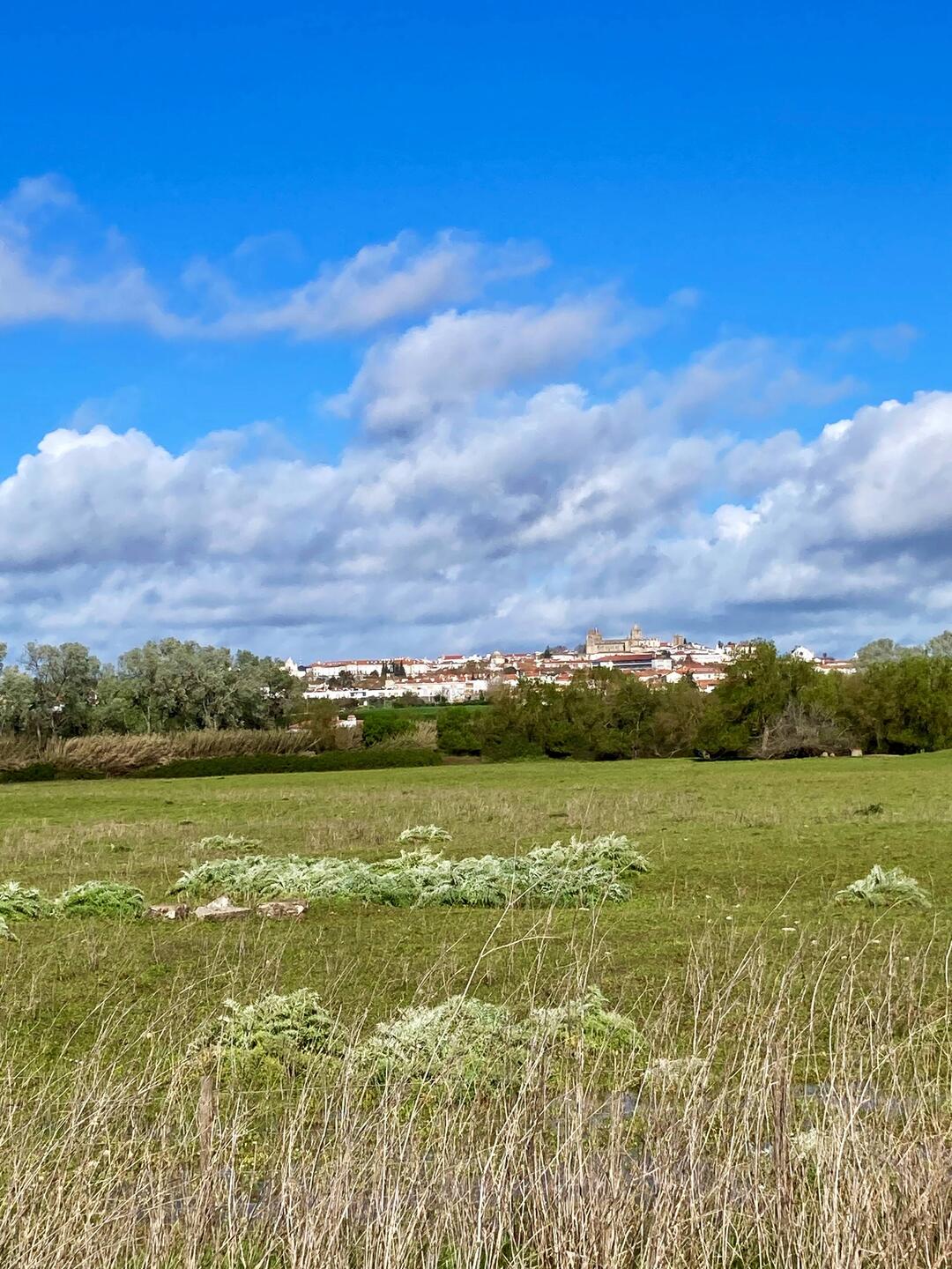 Sonniger Abschied von Evora