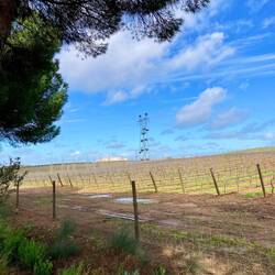 Dieser Hochspannungmast toppt alles was ich bis jetzt gesehen habe