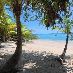 Paradies 🌴🌞🤿