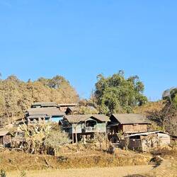 Traditional Laos homes are raised. Below the home can be weaving looms, animals, & other activities