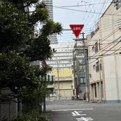Osaka gewinnt sicher nicht den Preis für die grünste Stadt