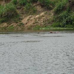 Hier sieht man auch mal den Rücken