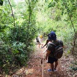 Zu den Nilpferden müssen wir ein Stück wandern und dabei auch die steile Flussböschung herab