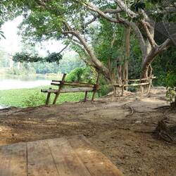 Von hier hat man den Fluss immer im Blick, gelegentlich kommen die Nilpferde auch hier vor