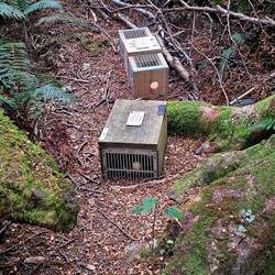 These are predator traps to control stoats, rats & other pests to help protect native wildlife.