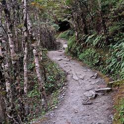 ...and begin the walking trail.