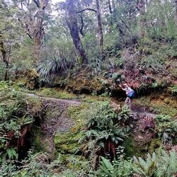 ...but it was always beautiful.