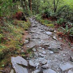 Our path wasn't always nice and clear...