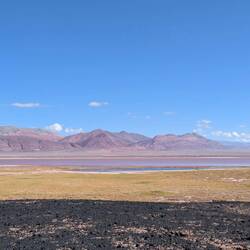 Very pretty lakes on the 4x4 route. Many flamingos, vicuñas and lamas