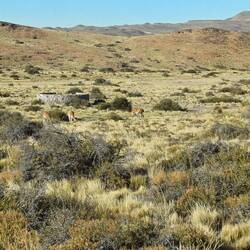 Unsere Nachbarn heute morgen